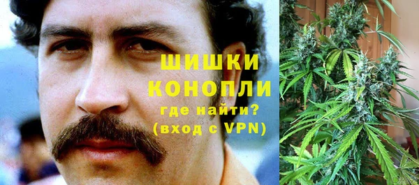 мескалин Богородицк