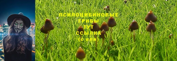 мескалин Богородицк