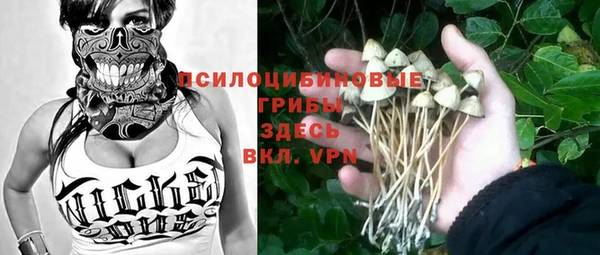 стаф Богородск