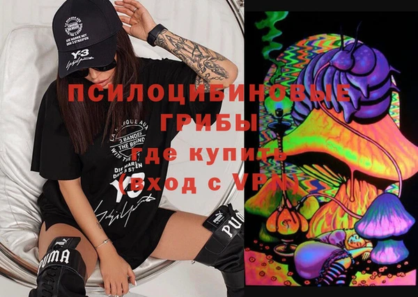 стаф Богородск