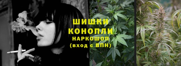 стаф Богородск